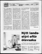 Síða 2