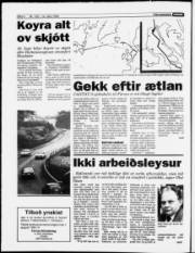 Síða 4