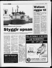 Síða 5