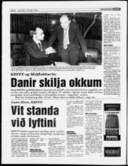 Síða 6