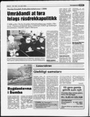 Síða 8
