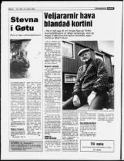 Síða 6