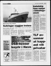Síða 3