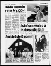Síða 6