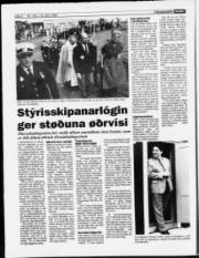 Síða 8