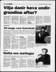 Síða 3