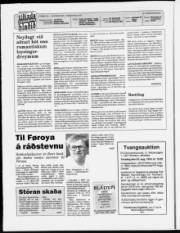 Síða 2
