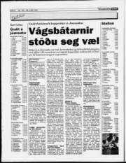 Síða 6