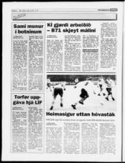 Síða 8