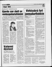 Síða 19