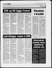 Síða 9