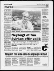 Síða 13