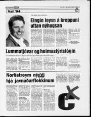 Síða 17