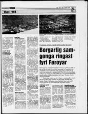 Síða 19