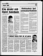 Síða 21