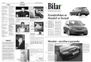 Síða 17