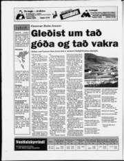 Síða 32
