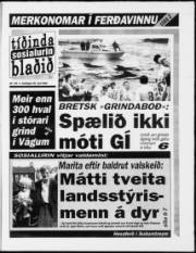 Síða 1
