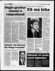 Síða 5