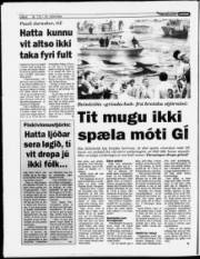 Síða 6