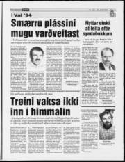 Síða 13