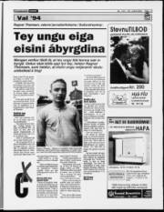 Síða 15