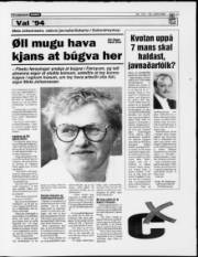 Síða 17