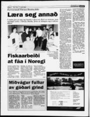Síða 6