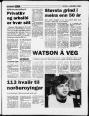 Síða 7
