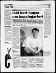 Síða 13