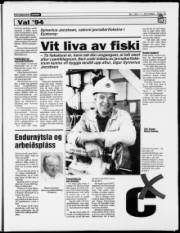 Síða 15