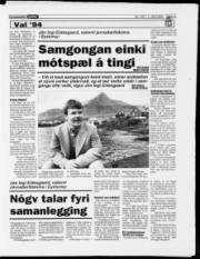 Síða 17