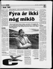 Síða 19