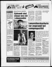 Síða 32