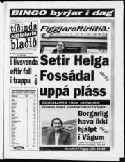 Síða 1