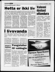 Síða 3