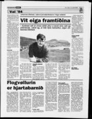 Síða 13