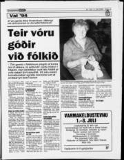 Síða 15