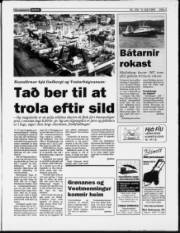 Síða 3