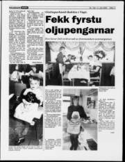 Síða 11