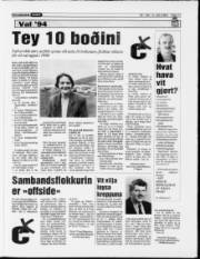 Síða 17