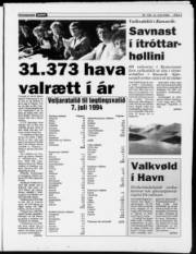 Síða 3