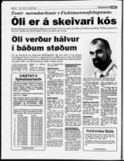 Síða 8