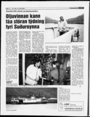 Síða 12