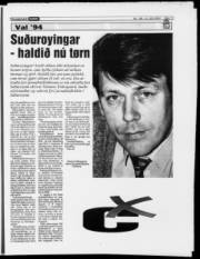 Síða 13