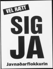 Síða 29