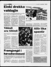 Síða 5