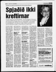 Síða 6