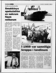 Síða 13