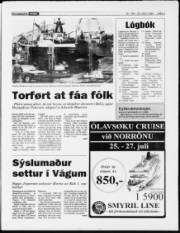 Síða 3